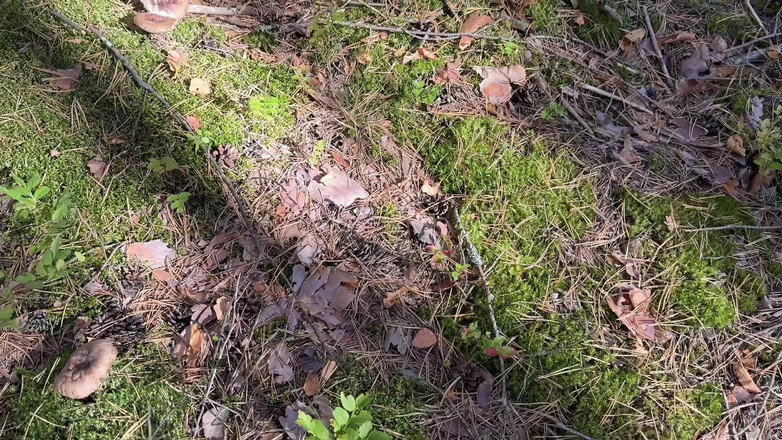 Loly Lola: Bestes selbstgedrehtes porno-video