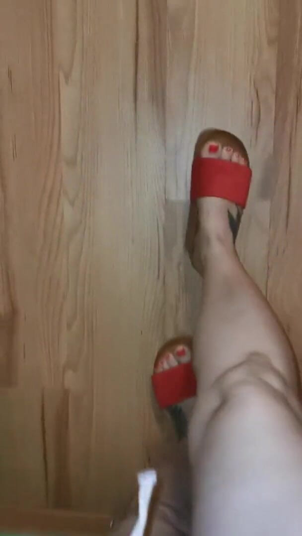 BadCat: On high heels