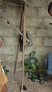 Horny Anambra Student Skip Class to Have a Good Fuck with Area Boy with BBC in a Bush Uncompleted Building
