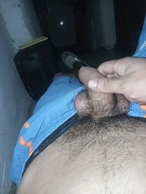 Carass: 확인 확인