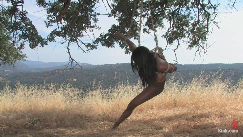 Kink: Curve futute vol.2