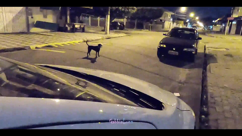 Gabbie Luna: Sokakta kahvaltı! 18 yaşındaki kaltak sokağın ortasında bedava bana oral seks...