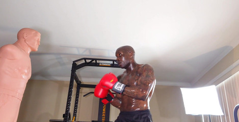 Hallelujah Johnson: Entraînement de boxe, entraînement saq est une méthode utile et...
