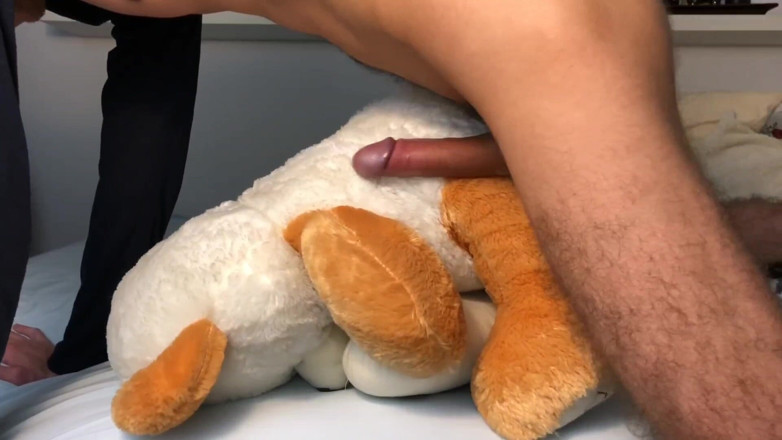 Candylove: Teddy orgasme pagi-pagi sambil ngomong jorok