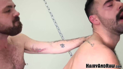 Hairy And Raw: Hairyandraw - Hairy Teddy Torres and Rogue status bareback