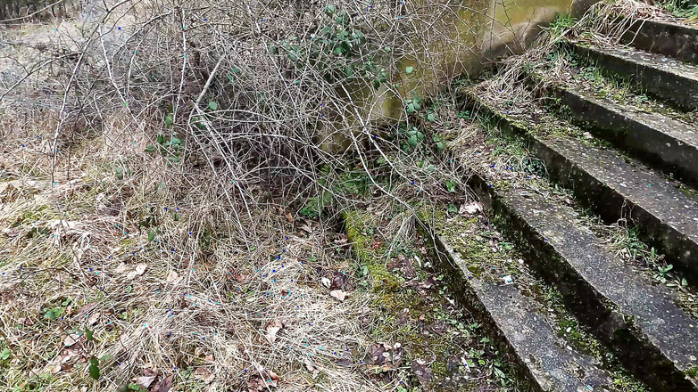 Bouncy Tits Action: Порка на немецкой границе