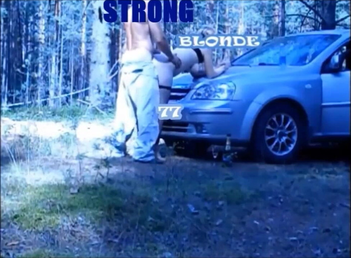 StrongSrg: Holiday in forest