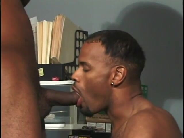 Gays Case: Gay black men love sucking each other's tool