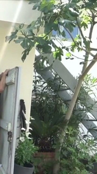 Si jalang Perancis dikongkek mentah oleh badboy tanpa kondom