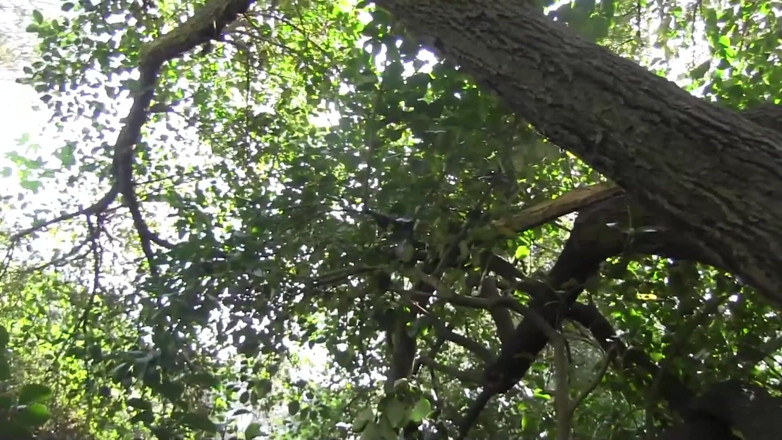 Injoy X: Hottest outdoor lesbian sex
