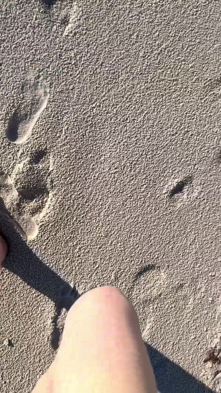 Peppermint Giantess: Comparing Size 16 Feet to Sand Prints at the Beach