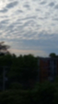 Position Misslyckande lämnade lägenheten för att vara med ny flickvän kom från sitt jobb hon har kul med sin fitta suger kuk inte imponerar - Jhodez1
