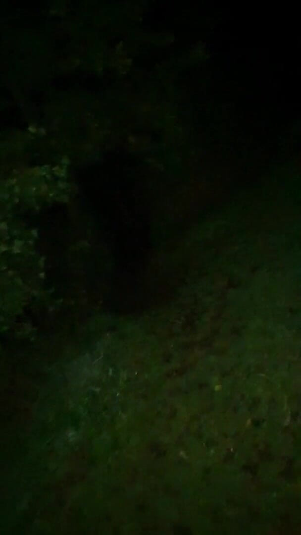 Slutboyben: Slutboyben Cam4 Exhibiționistă sexy Queen Holland