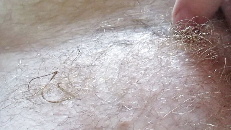 Hairyartist: Poranna medytacja koguta z hairyartistką