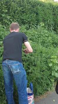 Nettles Fluck