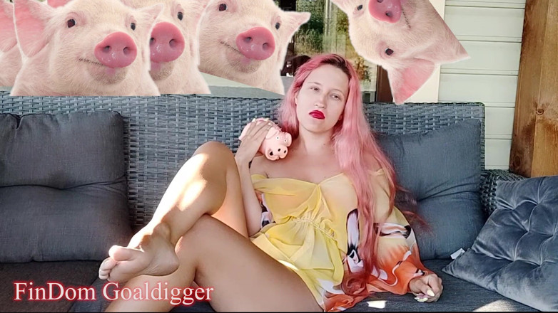 FinDom Goaldigger: Cash slave application form review