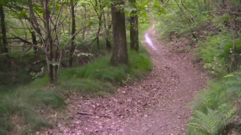 BELLOeBIOTTO: Cumshot yang bagus dan panjang, bertelanjang dada, di hutan umum