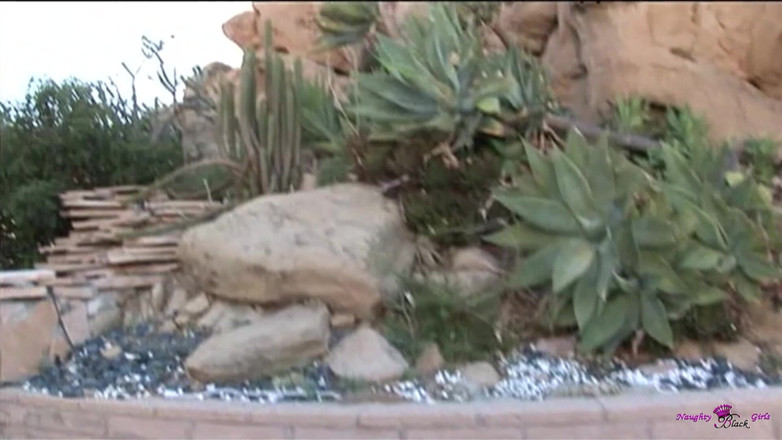 Naughty Black Girls: Unikalny Lasage pokazuje jej duży tyłek i dostaje fucked przez...