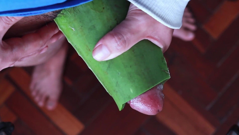 MGEc21: Menggunakan Aloe Vera sebagai Fleshlight