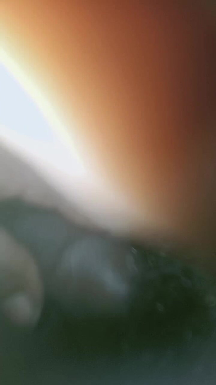 PARAMANANDA: La notte di mia moglie