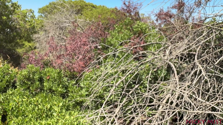 Nicky Mist: Điểm tốt nhất để xuất tinh trên ngực của tôi