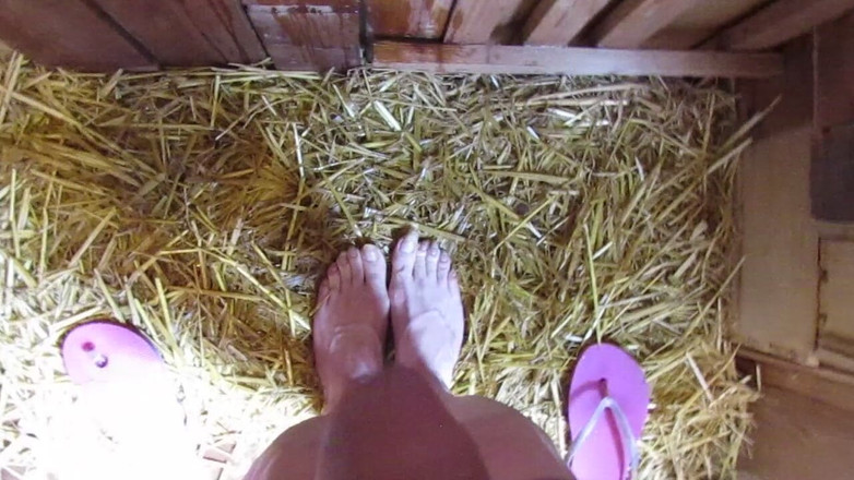 Lilly Disgrace: 오줌 싸는 Sissy