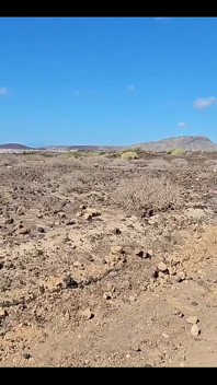 Right in the Middle of Nowhere We Feel Like Having a Good Fuck