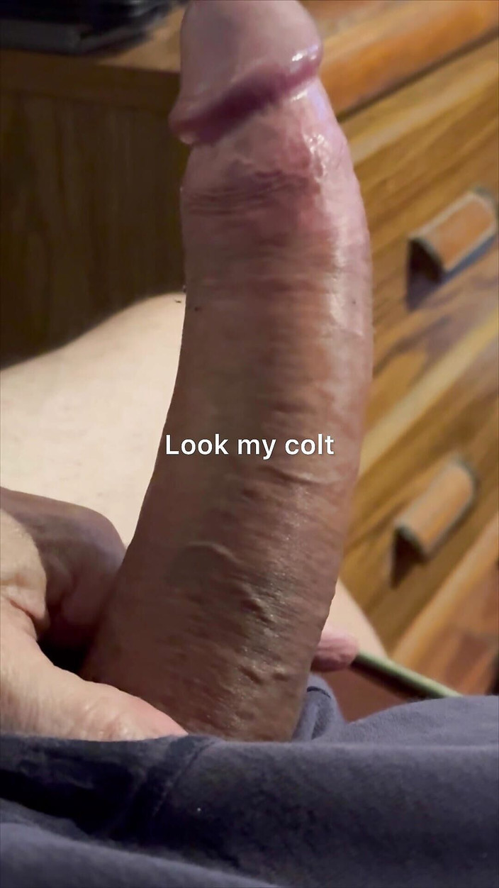 Stalionro: Tento pták miluje pozornost od mužů