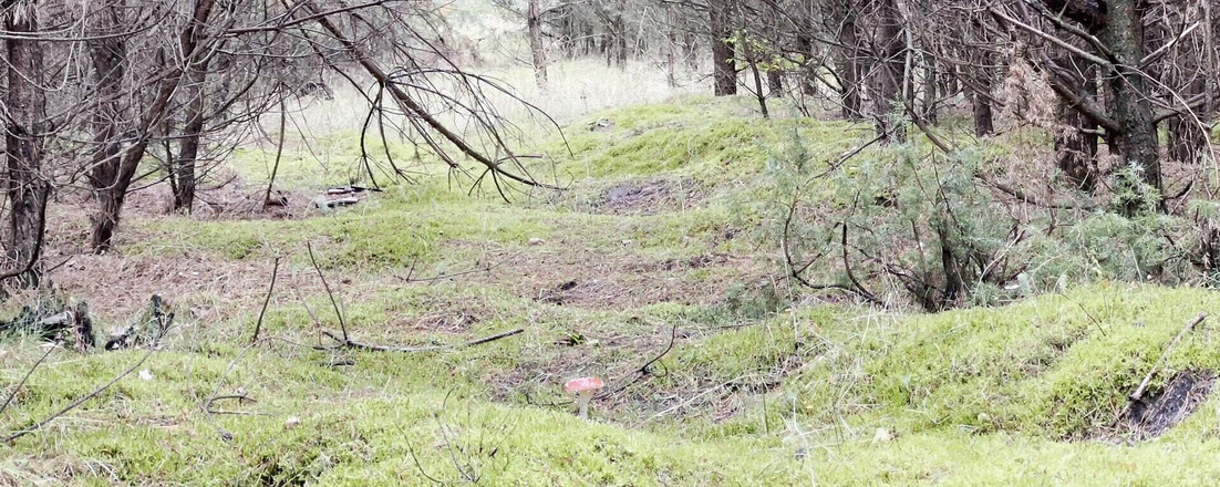 Apomit: Миготить мою молоду дупу в рожевих струнах