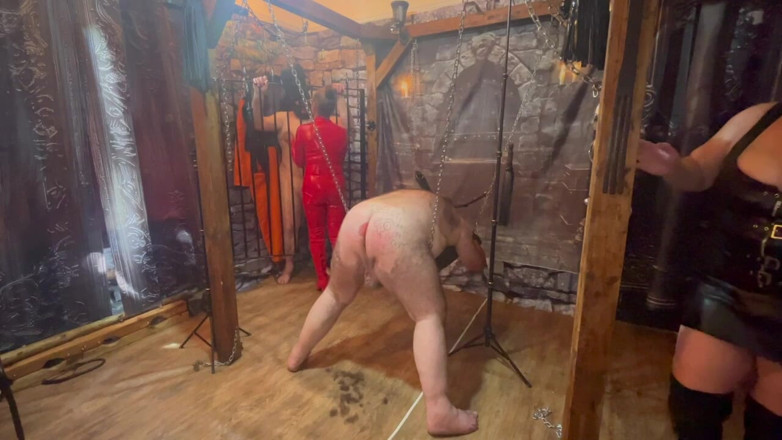 Lanista_Bear: Part 3- Boo-boo Gets Shaved and Humiliated!