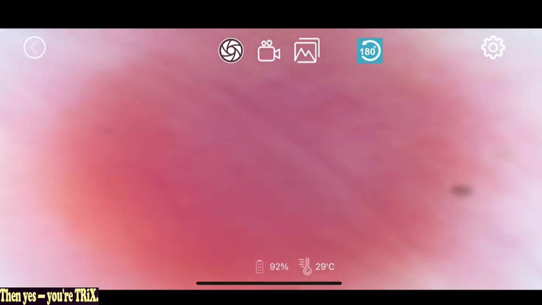 A case of fling: Asiatico angel 26559