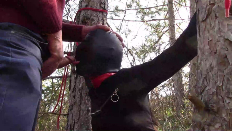 LauraOnHeels: Outdoor sex in the wood. Wearing sexy clothes and high...