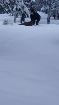 What Do You Do When It Snows