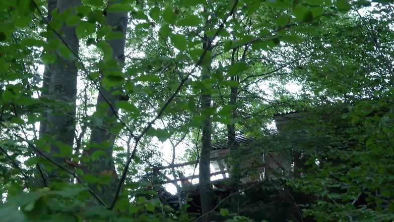 Big Boobs Babe: Sekstherapeut wilde trio-sessies