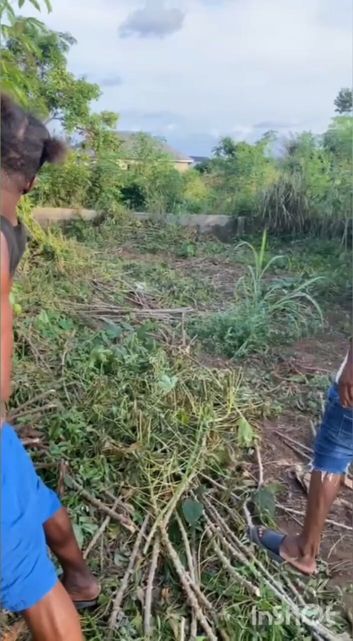 Chief_daddyy: Transmisión de tipo C a tipo C.