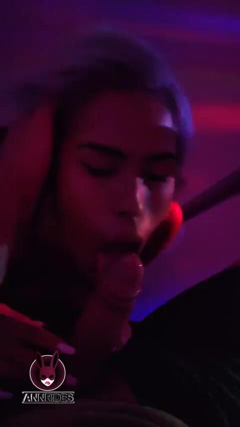 Ann Rides: Fucking with a Stranger at the Party