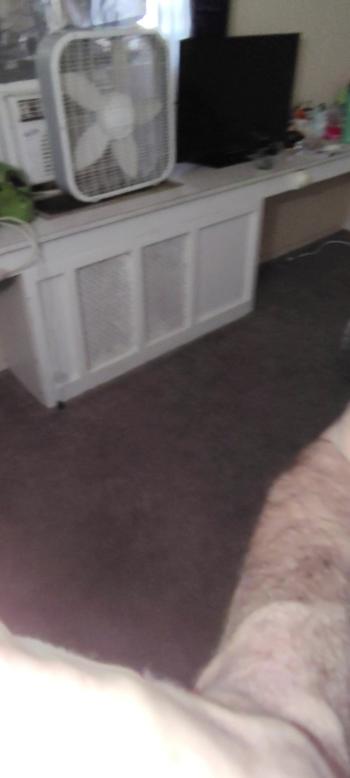 Mikey 21: Жорсткий мій член