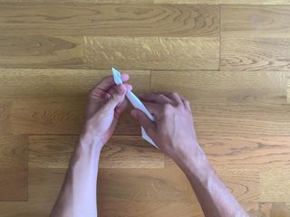 Mathifys: ASMR bird origami fetish