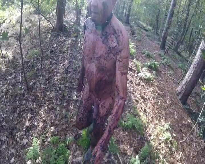 Andy: Часть 2, грязная иб в лесу