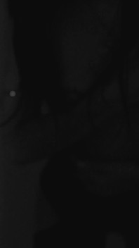 Kore Fox Intro Video Naked