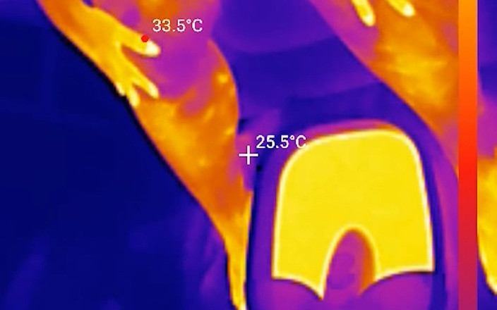 largebootylexi: Las plantas de los pies se molin, se aspiran y...