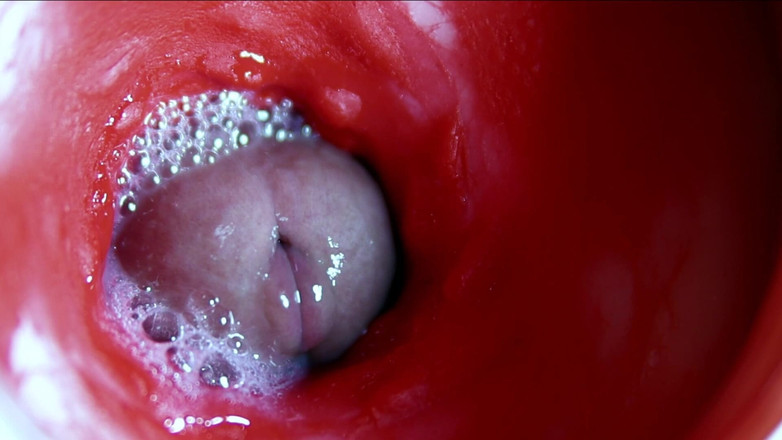 SEXY_GUYBEST: Foarte aproape Fluxuri uriașe de spermă într-o gaură dulce Asmr Wet...