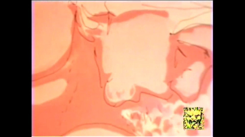 The Unforgettable: Perverzní kreslené filmy (část 4)