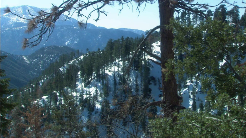 Perv Milfs n Teens: Velicity von rocks this studs world com seus peitões e...