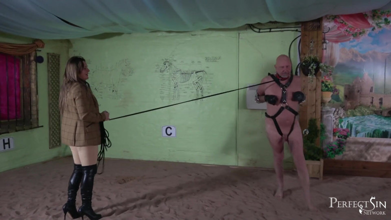 Perfect Sin Network: Training for a perfect slave