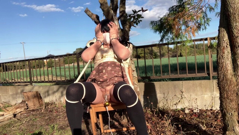 megu2002: Le jeu de rotor Trainer’s Direct Training No31 est agréable