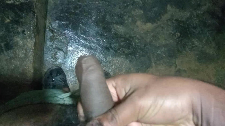 John Denver: Desi Solo