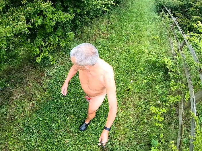 Andy: Camminata 29 2025