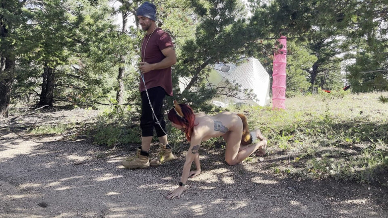 MYA Pleasure: A Fox in the Woods