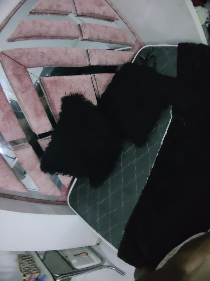 PABLO N3GROBAR: シーズン4 - リル視点3